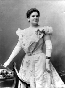 Ernestine Schumann-Heink cph.3b10271