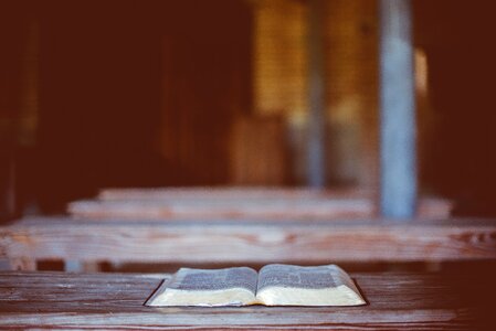 Table brown book brown books photo