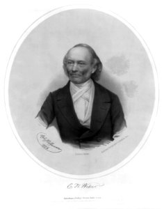 Ernst Heinrich Weber, 1795-1878, head-and-shoulders portrait, facing front LCCN2006679035