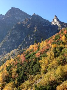 Landscape nature the high tatras