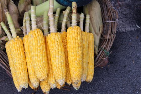 Sell vegetable indian