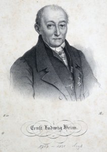 ErnstLudwigHeimLitho
