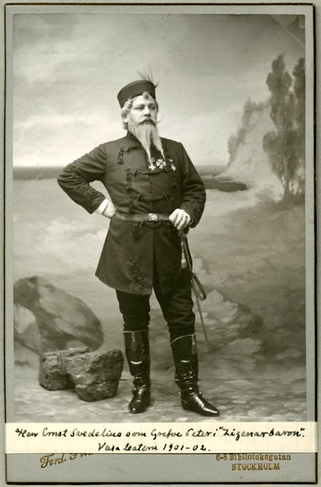 Ernst Svedelius, rollporträtt - SMV - H8 093