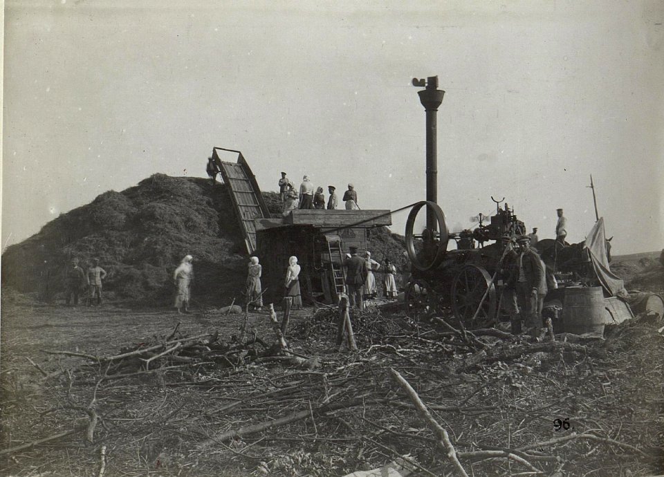 Erntearbeiten bei Zamliczy. (BildID 15693705)