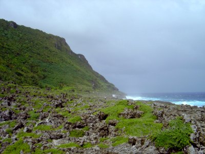 Eroded coral rock on the coast of Guam (line377772745)