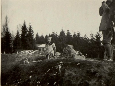 Erprobung eines Infanterie-Geschützes am Schießplatze Villach. General der Kavallerie Rohr (BildID 15469110)