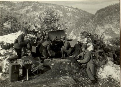 Erprobung der 47 mm L-44 Marinekanone nächst der Schießstätte in Villach. (BildID 15469040)