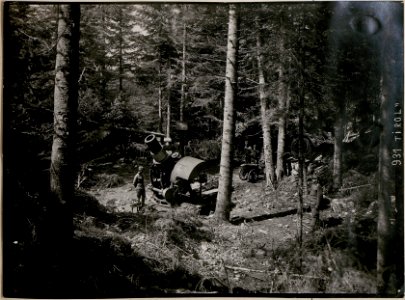 Erste Beschießung von Lafraun und Vielgereuth im November 1915 (BildID 15730801)