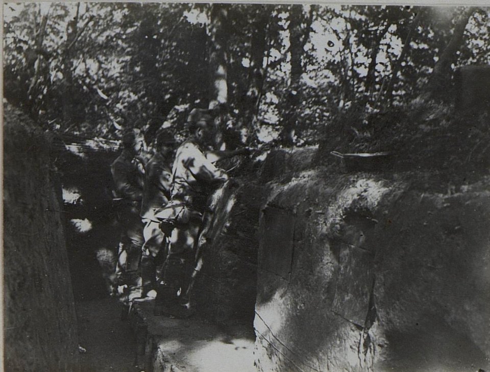 Erste Stellung des Landwehrinfanterieregimentes 24 im Walde Szelwow