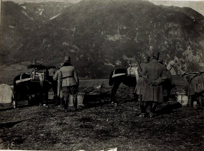 Erste Versuche beim 14. Korps mit Musketen bei Auhofen im Tauferer Tal. (BildID 15580652)