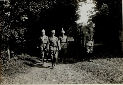 Erzherzog Karl beim 10. Reservekorps unter General Georg Fuchs (BildID 15548606)
