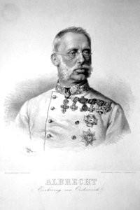 Erzherzog Albrecht 1874 Litho photo