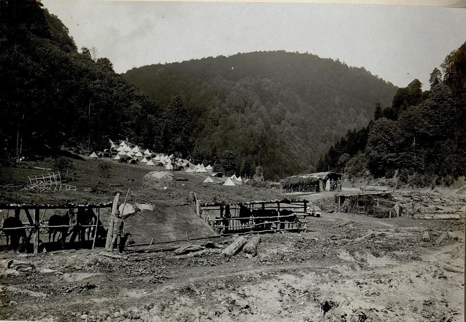 Erzherzog Karl auf dem Kopilas und an der Strasse Luhi - Klausura nördlich von Ruszpoliana, Lager einer Kavallerieeinheit, 13.9.1916 (BildID 15550426)
