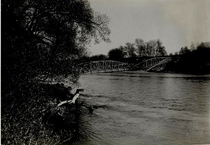 Erzherzog Karl besucht Rupea (Köhalom, Reps), Besichtigung der zerstörten Brücke und der Behelfsbrücke am 15.10.1916 (BildID 15548886)