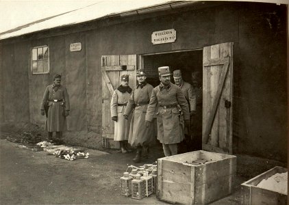 Erzherzog Karl Franz Josef, Besuch im Schanzzeugdepot Nr. 7 in Warmbad Villach. (BildID 15466097)