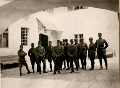 Erzherzog Peter Ferdinand und Heinrich Ferdinand. (29-6.1917.) (BildID 15799335)