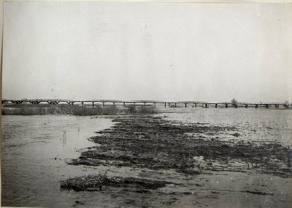 Eröffnung der Linsingen Brücke, wahrscheinlich nahe Kowel (BildID 15683106)
