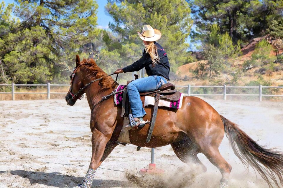 Shoe horseback riding animal photo
