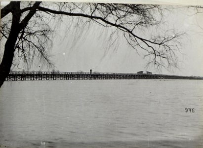 Eröffnung der Linsingen Brücke, wahrscheinlich nahe Kowel (BildID 15683141)