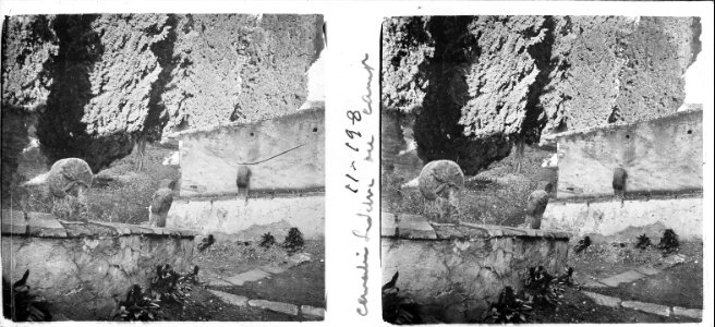 Escala amb creus de tanca al cementiri