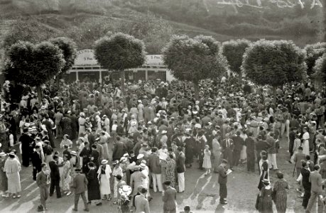 Escenas de las carreras de caballos en el hipódromo de Lasarte (17 de 27) - Fondo Car-Kutxa Fototeka