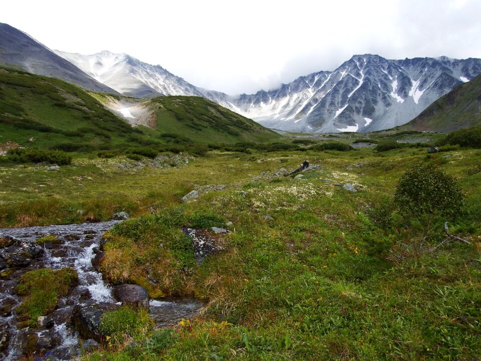 Creek landscape nature