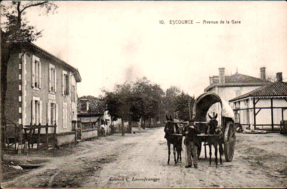 Escource - Avenue de la Gare