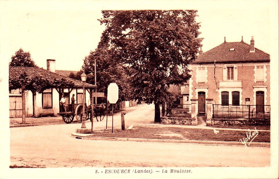 Escource - La moulasse