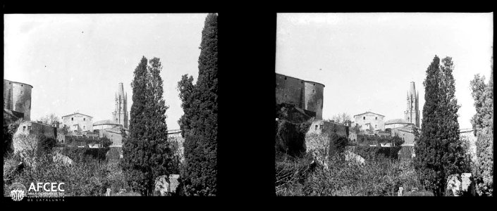 Església de Sant Feliu de Girona amagada entre uns arbres