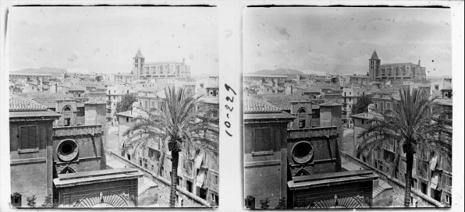 Església de Santa Creu des del terrat de la Llotja de Palma de Mallorca