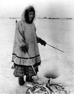 Eskimo woman ice fishing with poles and a pile of fish, Alaska, 1906 (AL+CA 2373)