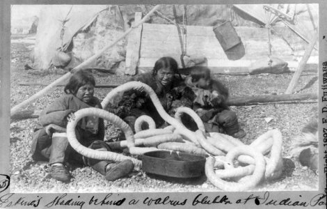 Eskimos shading behind a walrus blubber at Indian Point LCCN2004670869
