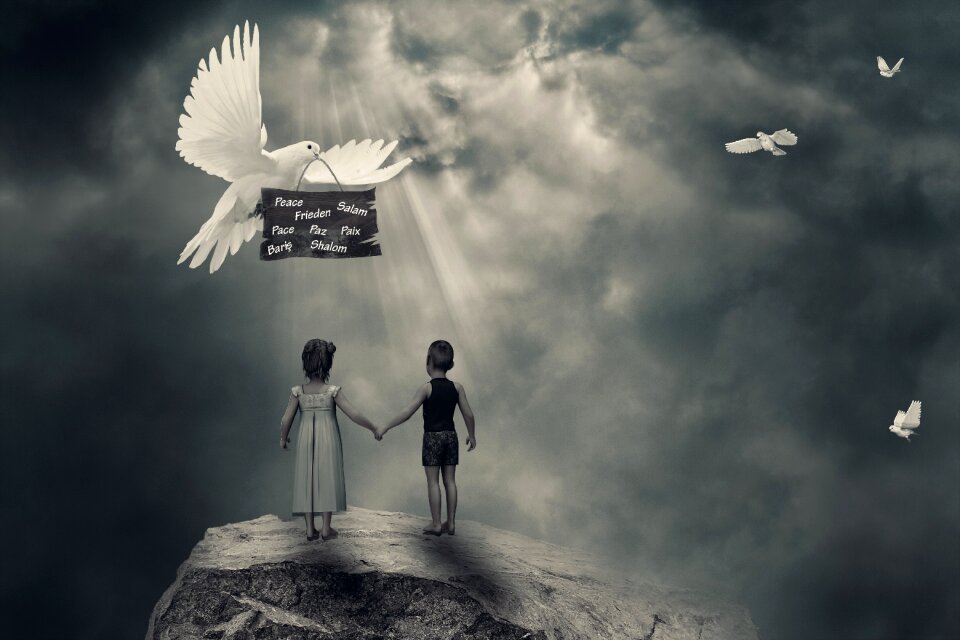 Children dove harmony