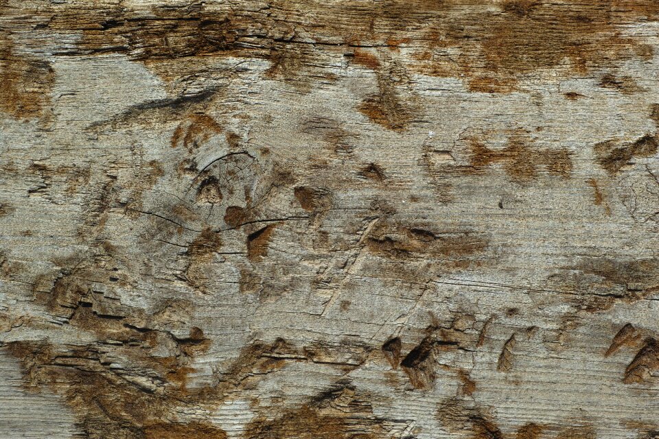 Dry perspective abstract