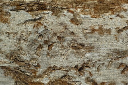 Dry perspective abstract