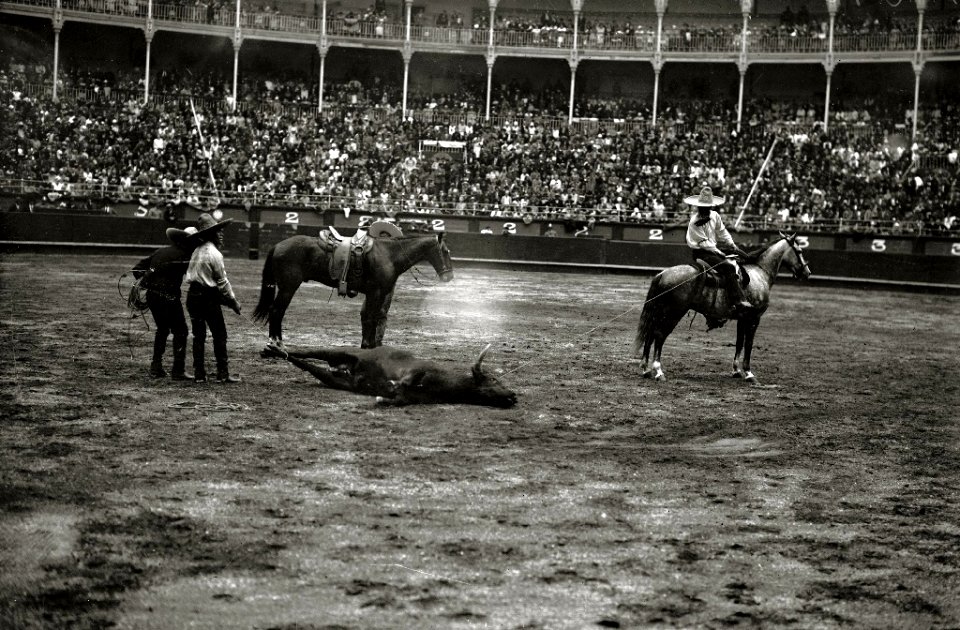 Espectáculo de rodeo en la plaza de toros de 'El Txofre' (1 de 3) - Fondo Car-Kutxa Fototeka