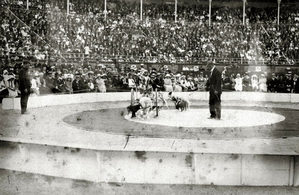 Espectáculo circense en una plaza de toros (1 de 3) - Fondo Car-Kutxa Fototeka
