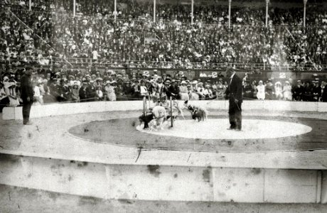 Espectáculo circense en una plaza de toros (1 de 3) - Fondo Car-Kutxa Fototeka