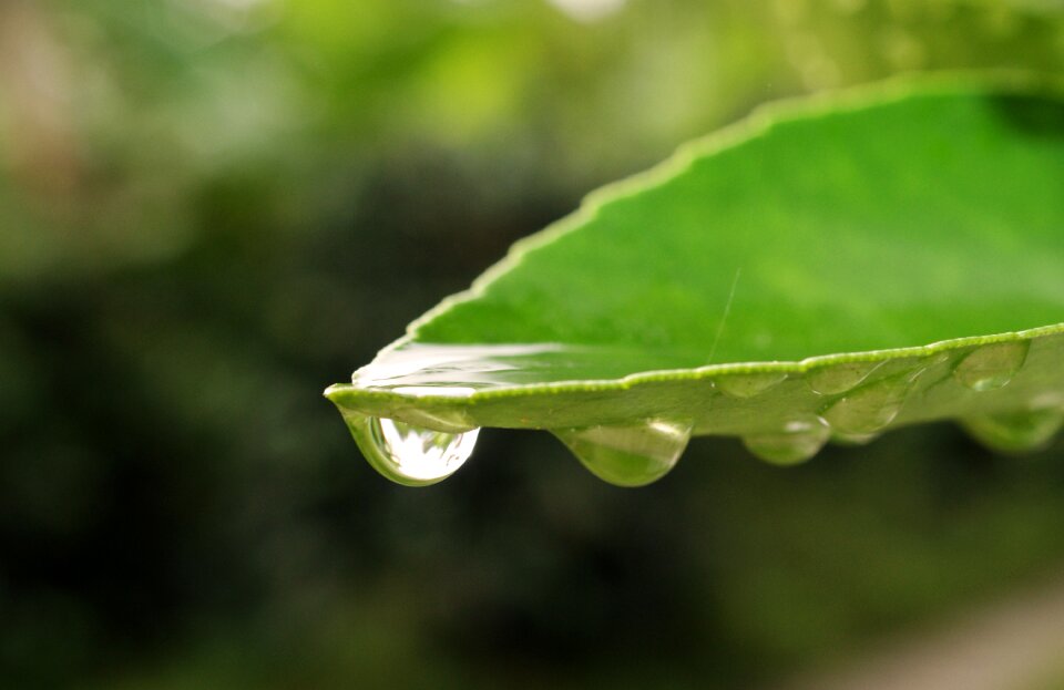 Rain outdoors armenia