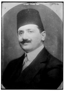 Essad Touad Bey LCCN2014701246