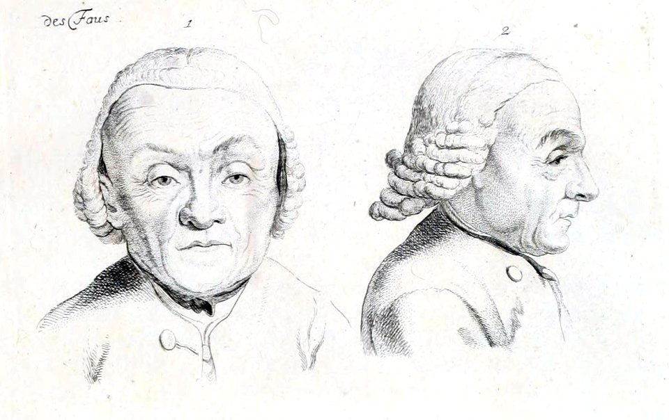 Essai sur la physiognomonie, vol4, addition F, détail