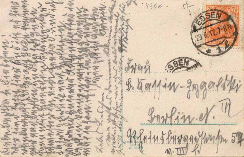 Essen (Ruhr), Nordrhein-Westfalen - Stadtgarten, Rosengarten (back) (Zeno Ansichtskarten)