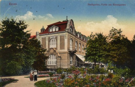 Essen (Ruhr), Nordrhein-Westfalen - Stadtgarten, Rosengarten (Zeno Ansichtskarten)