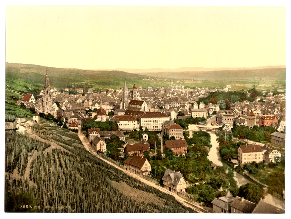 Esslingen seen from Dreikaiserfallsen, Black Forest, Baden, Germany-LCCN2002696333