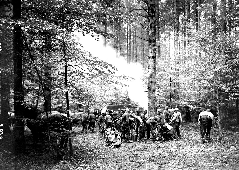 Essenfassen im Waldbiwak - CH-BAR - 3239587