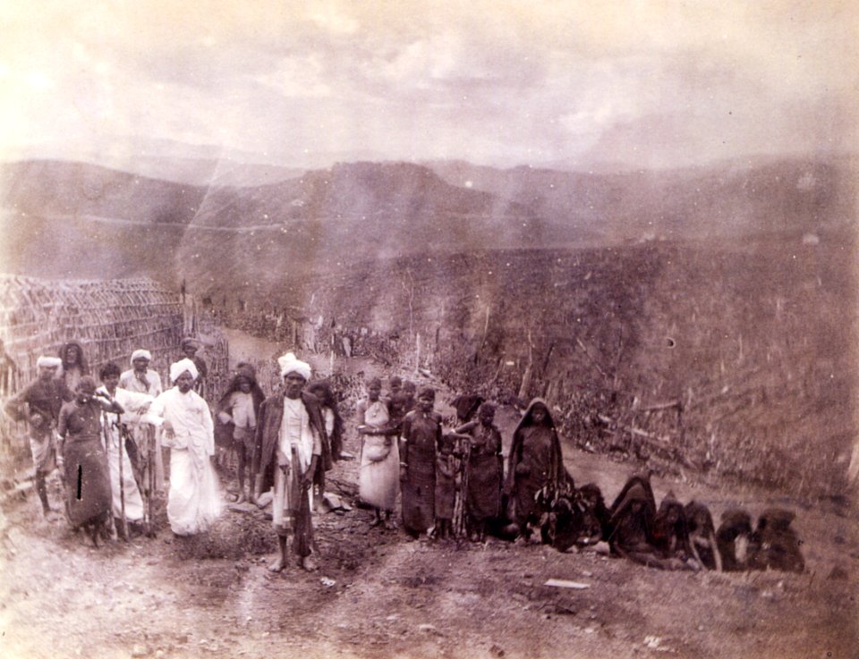 Estate workers (Ceylon), by Julia Margaret Cameron