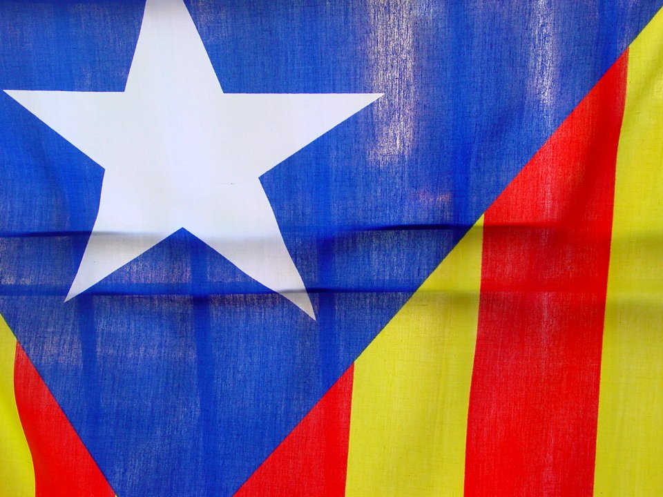 Estelada durant la Manifestació de l'11 de setembre de 2012