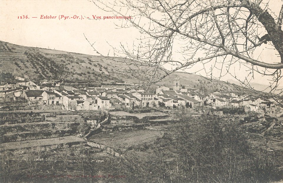 Estoher - Vue panoramique (carte postale 1236)