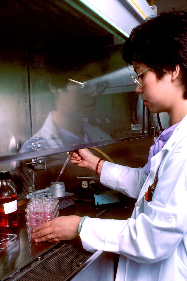 Estrogen receptor assay (1)