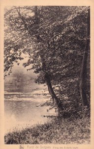Etang Enfants Noyés - Soignes
